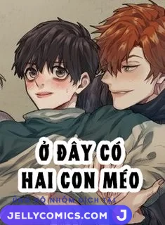 Ánh nhìn của Quạ