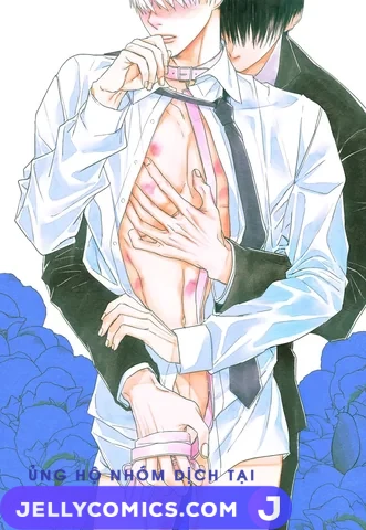 BOY LOVE – FAN BOOK