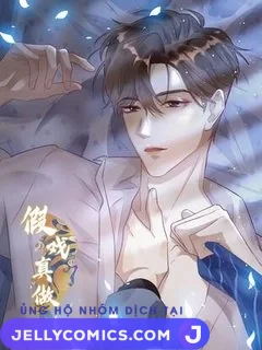 Diễn Giả Làm Thật
