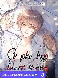 Sự Phù Hợp Muộn Màng