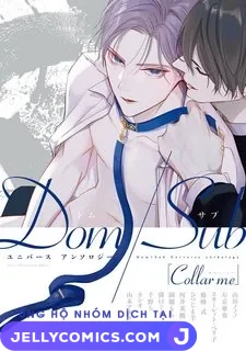 Tuyển tập dom/sub